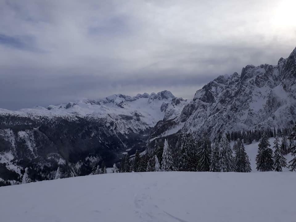 Dachstein View Ski Apartment Гозау Екстериор снимка