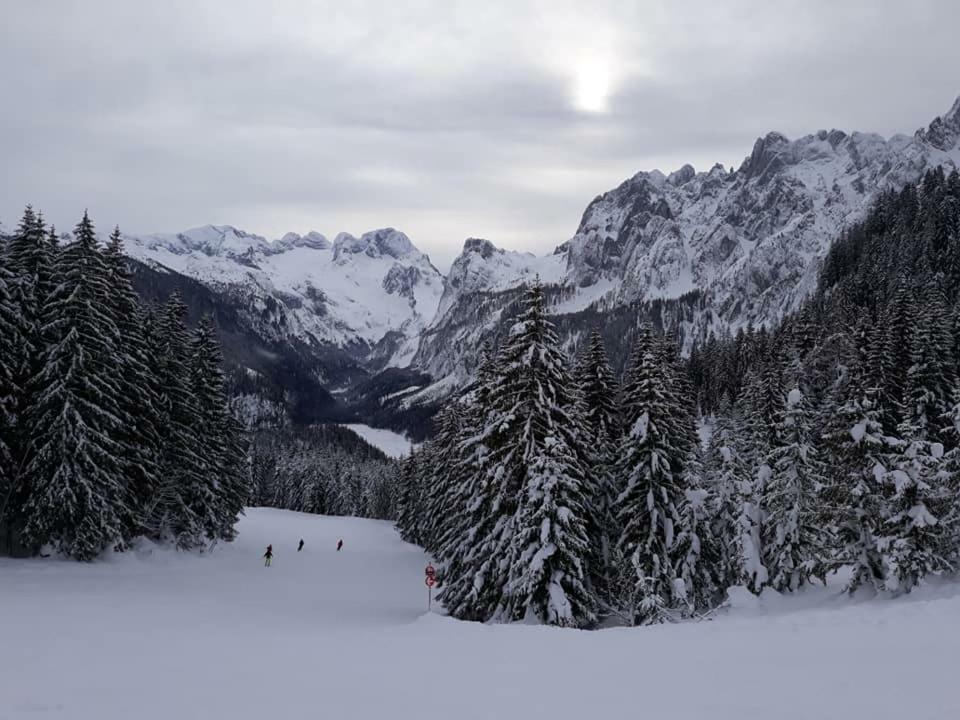 Dachstein View Ski Apartment Гозау Екстериор снимка