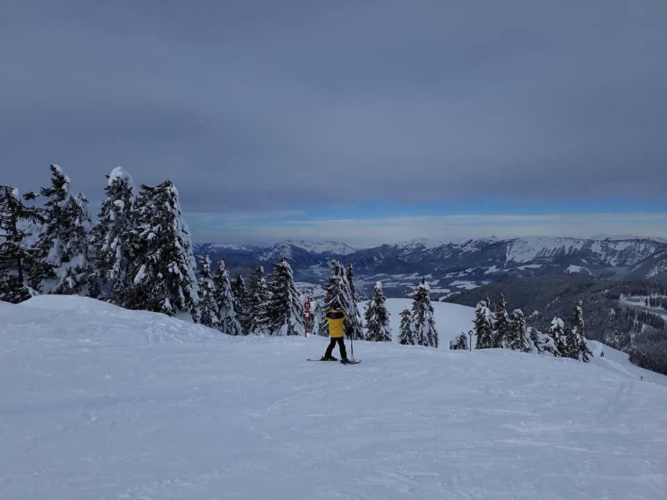 Dachstein View Ski Apartment Гозау Екстериор снимка