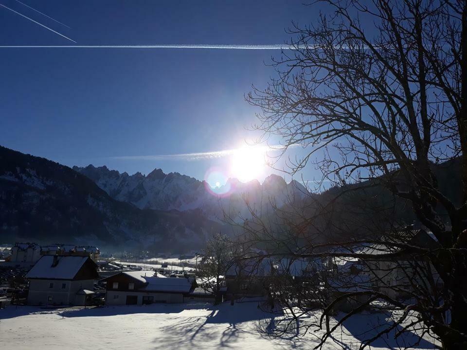 Dachstein View Ski Apartment Гозау Екстериор снимка